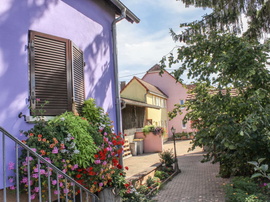 Vakantieverblijf bij Marckolsheim