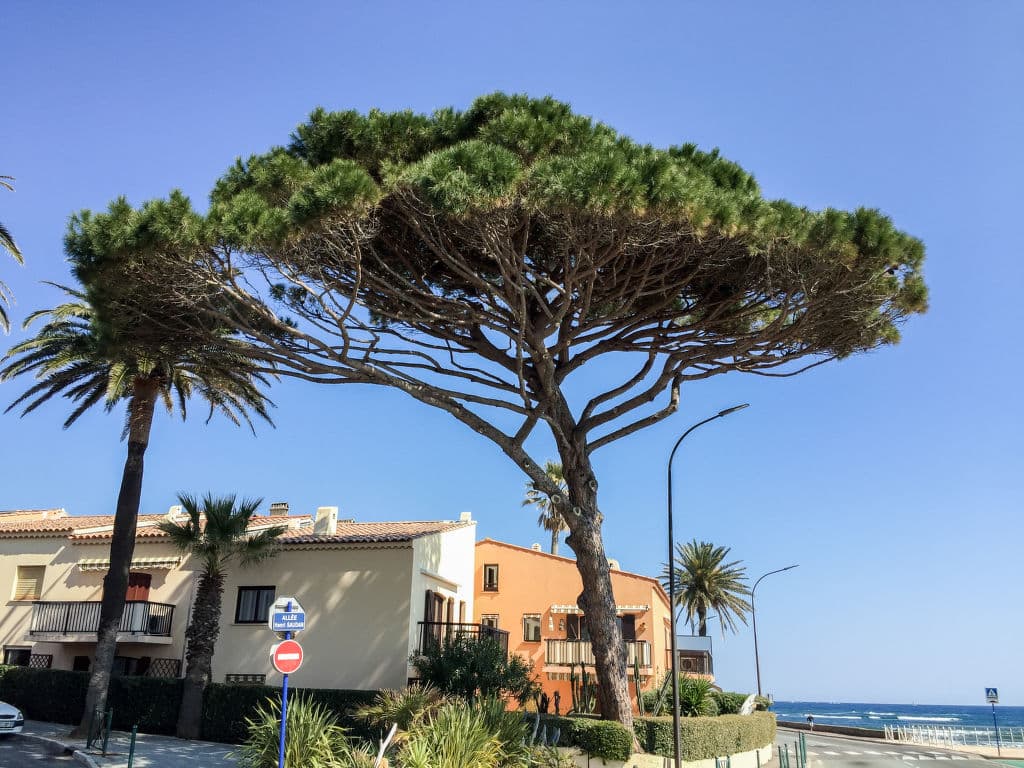 Vakantieverblijf bij Sainte Maxime